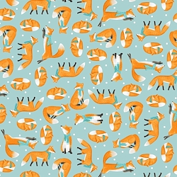 Light Blue/Orange - Foxes